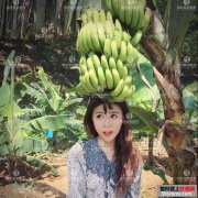 �����������ܱ���Ϊ��ֱ��ն����