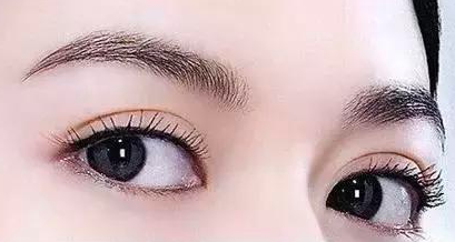 �۾�һֻ��һֻС���Ե�����һ������