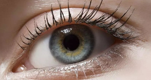 ���߲���ɻָ�ԭ����