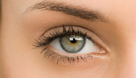 �۾��������Ǯ