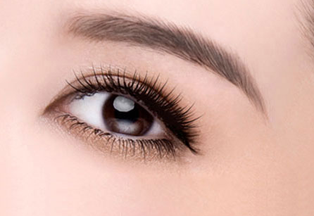 ���۽�һ�㻨����Ǯ