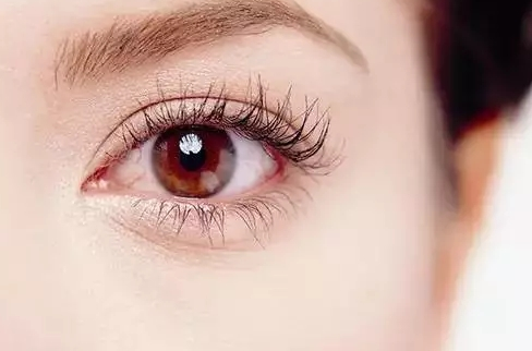 ���۽��޸���ԭ��