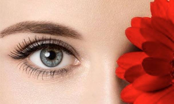 ����ֲƤ��������Ǯ