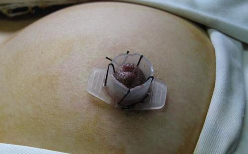 ��ͷ�����ǿ��Խ�����