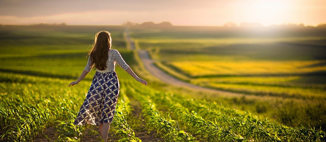 ɽ����ͷ����������Ҫ����Ǯ?