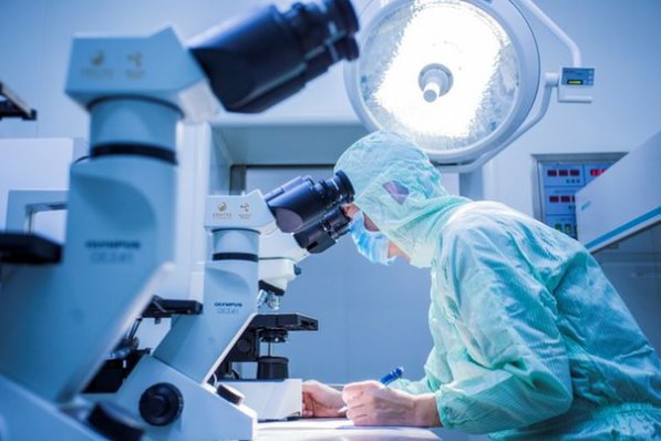 ������ֲ