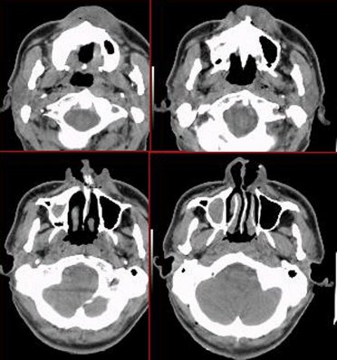 ����������������