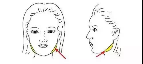 怎么让方脸变瓜子脸?