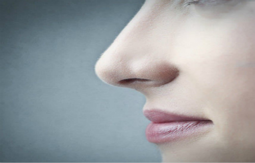 �������շ�����κ�