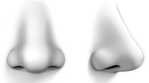 ����֬����ǻ��׵������ʺ���Щ�����й�