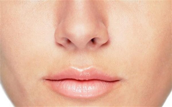 ������ͷ�����������ĺ�