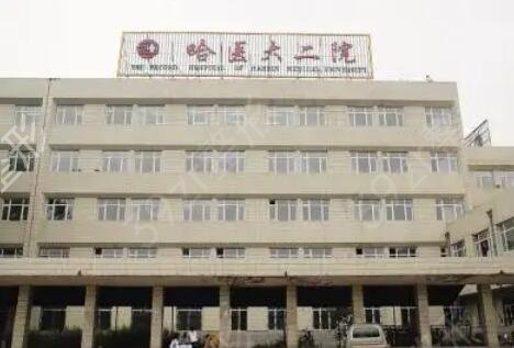 哈尔滨植发正规医院排名