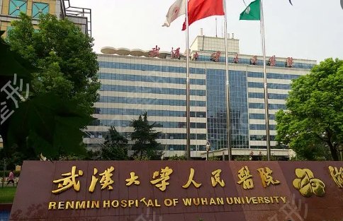 武汉有名气的整形医院排名榜