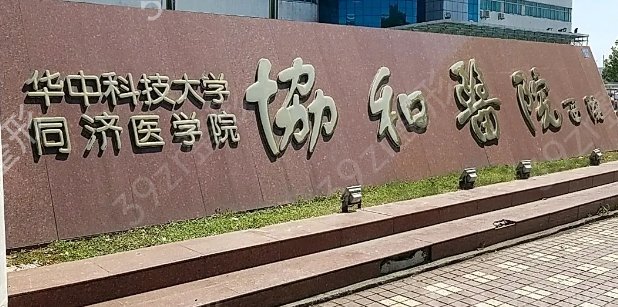 武汉有名的整形医院排行榜