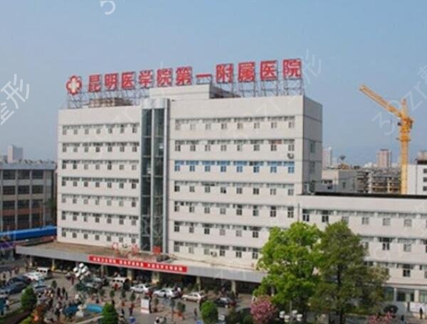 全国整形医院排行榜前五名