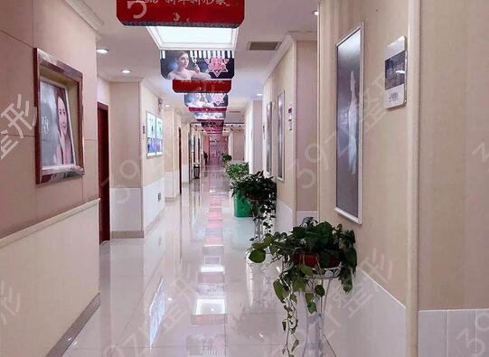 ����˫��Ƥ����ҽԺ������ǰ��