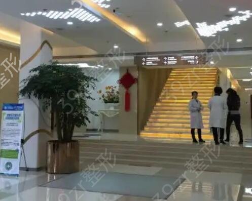 �Ϻ���ֲ��ҽԺ���а�