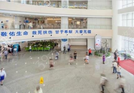 ������������ǰʮ�����Ƴ�