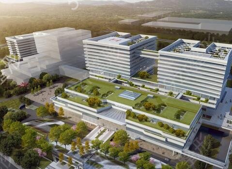 �ɶ���˫��ƤʮǿҽԺ���а�