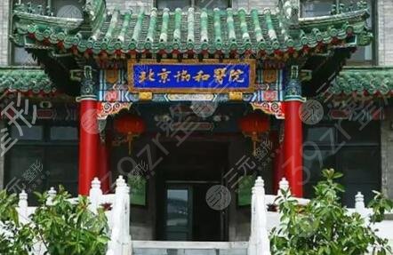 ���������ҽ����������Щ