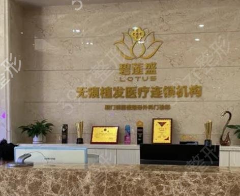 植发行业三巨头