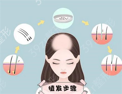 2022-2022����ֲ������֪��ҽԺ�������̵�_����ʵ��ǿ������