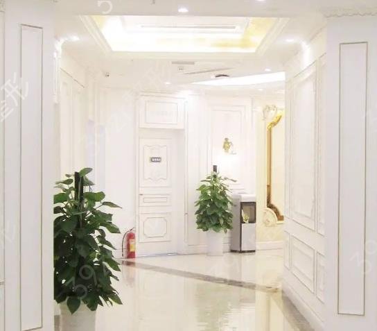 �ɶ���֬�����ҽԺ����ǰʮ