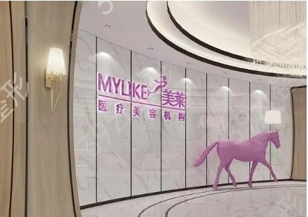 上海做隆胸排名前三整形医院