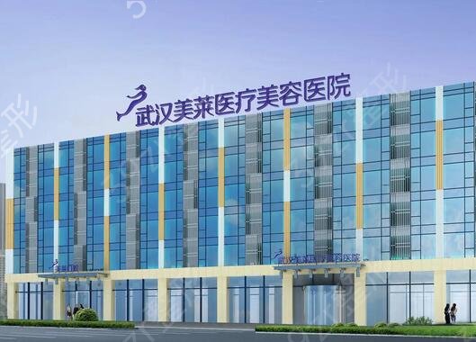 武汉欧洲之星授权的医院排名