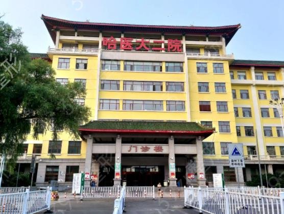 2022����������ҽԺ������ǰ����������