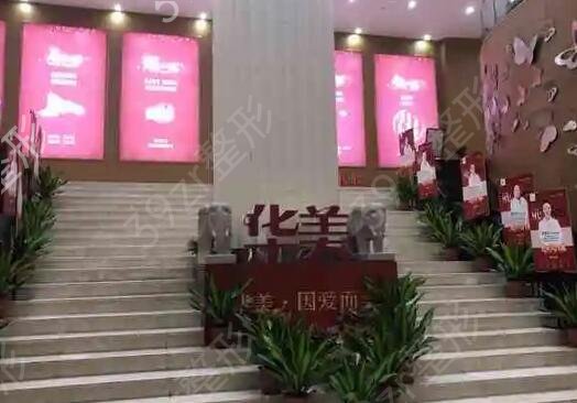 东莞脂肪填充医院排名