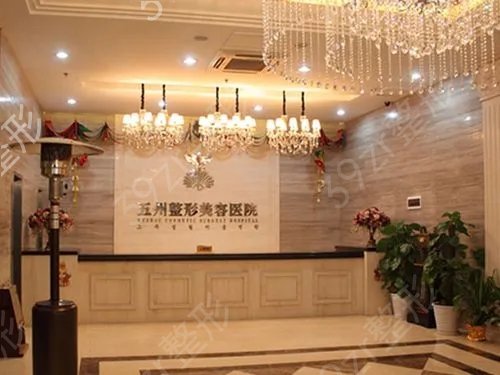 2022�人��������ҽԺ������top5��ʾ