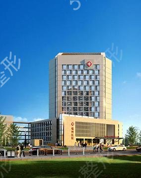 2022���й���ֲ��ҽԺ������ǰ��Ȩ������