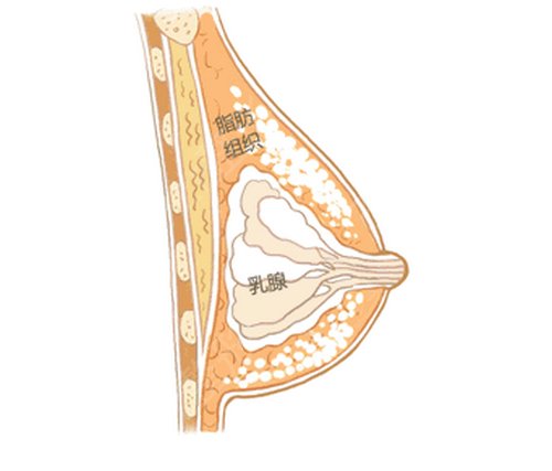 ������¡����������ҽԺ����Щ