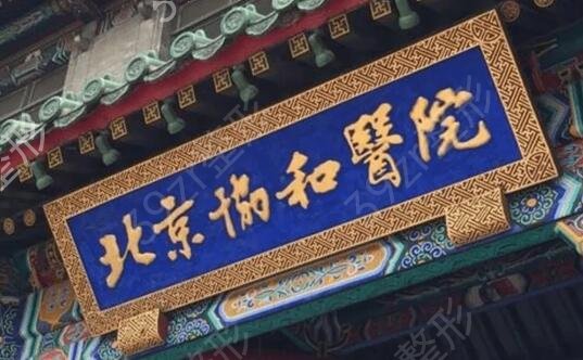 北京鼻子整容哪里好