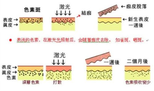 ����Э��ҽ������ҽԺ�۸�����ڰ汾����