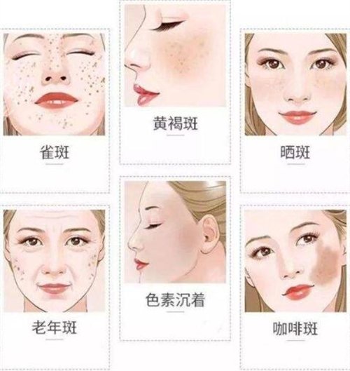 2022�Ϻ���Ժ���μ۸�����