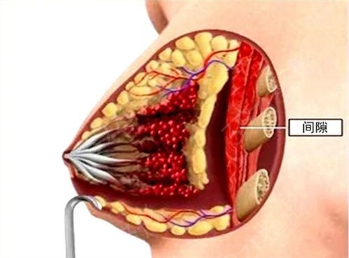 �������ַ����ָ���ʵ������Ȼ