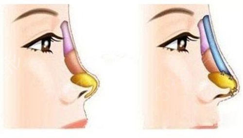 �ɶ�����ҽѧ�о�������ҽԺ����¡�����ڽ�����Ȼ����