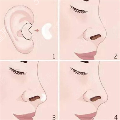 �ɶ�����ҽѧ�о�������ҽԺ����¡�����ڽ�����Ȼ����