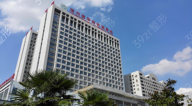 �����ļ���˫��Ƥ��