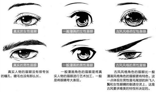 ʮ����������Ժ���а�ǰ���ڱ��Ƽ�_��˫��Ƥ�۸񣨰�������Ѳ�ѯ