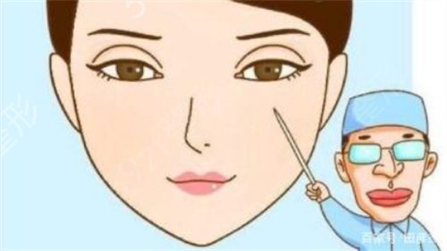 ������������˫��Ƥ