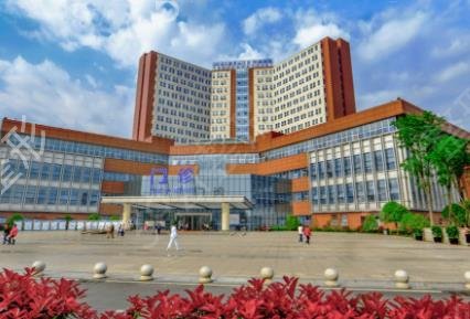 2022�ɶ���������ҽԺ����ǰʮȨ���̵�