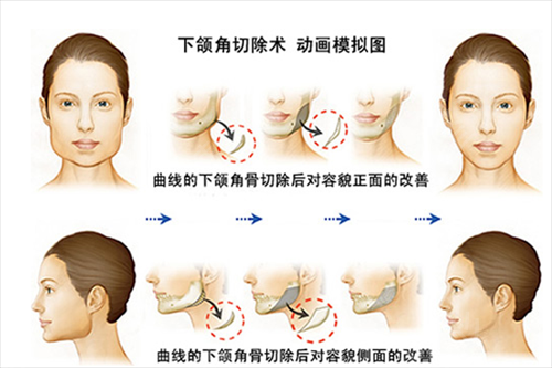 ����ĥ��������ר�����а����β�ѯ