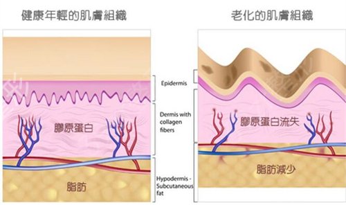 �Ͼ���Ƥ�����ȽϺõ�ҽԺ��Ҫ�Ƽ��⼸��