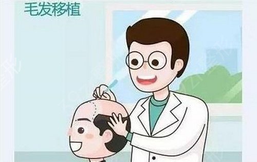 ����Ȩ��ֲ��ҽԺ���й���