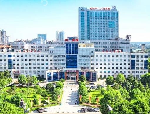 岳阳整形医院排名前十有哪些