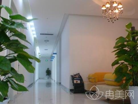 ֣�ݷ���������ҽԺ�۸�����°汾����