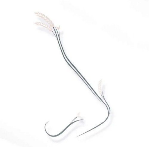 ��ݸ֪������ҽԺ�۸���������